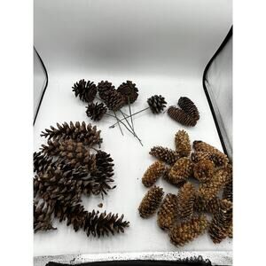 Natural Pinecone Lot 30+ Mixed Sizes Craft Wreath Floral Wire Picks Holiday